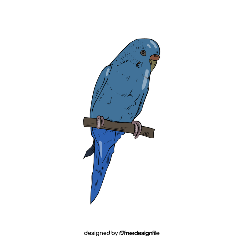 Blue parrot clipart