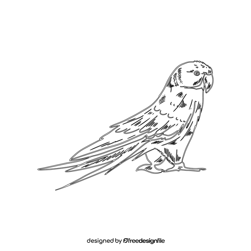 Parrot black and white clipart