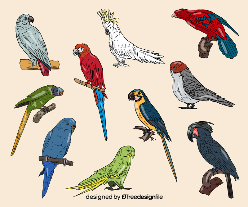 Parrots vector