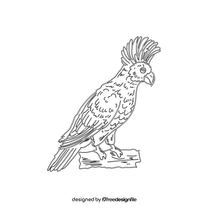 Parrot black and white clipart