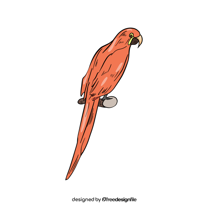 Orange parrot clipart