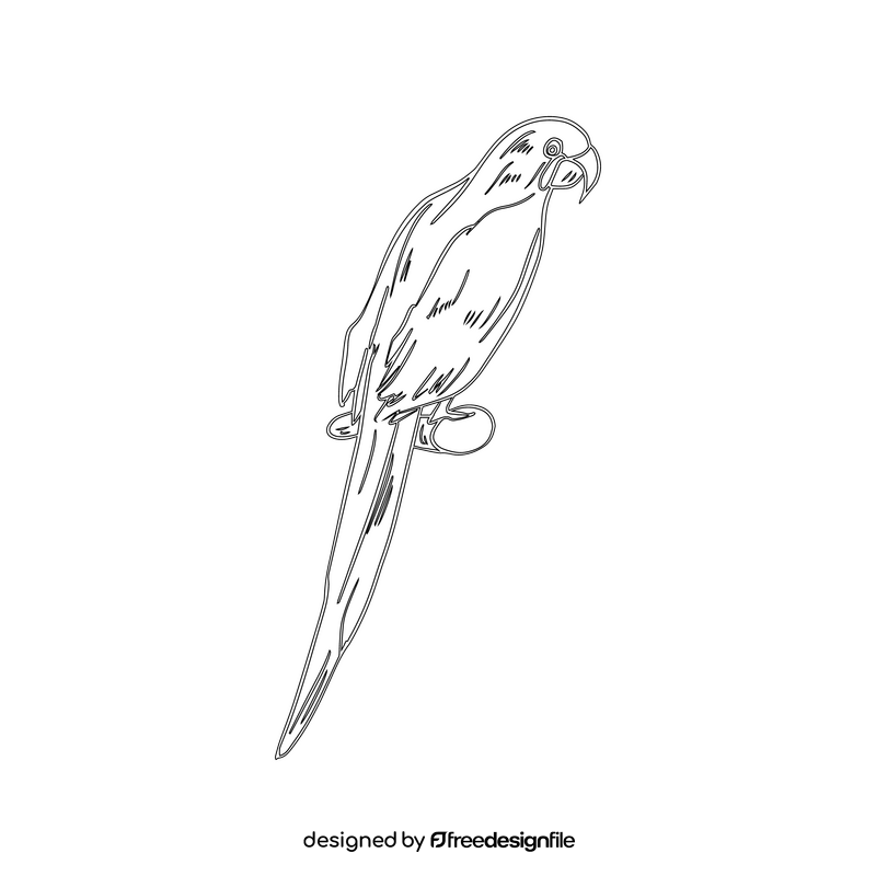 Parrot black and white clipart