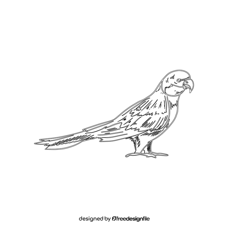 Parrot black and white clipart