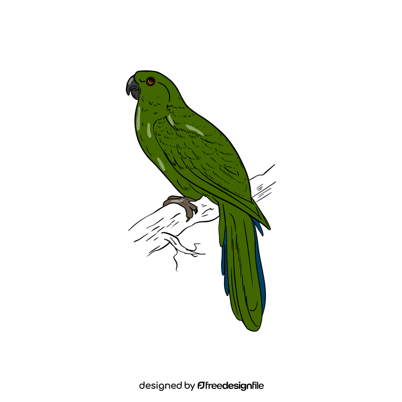 Green parrot clipart