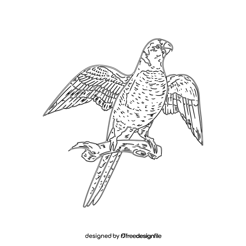 Parrot black and white clipart