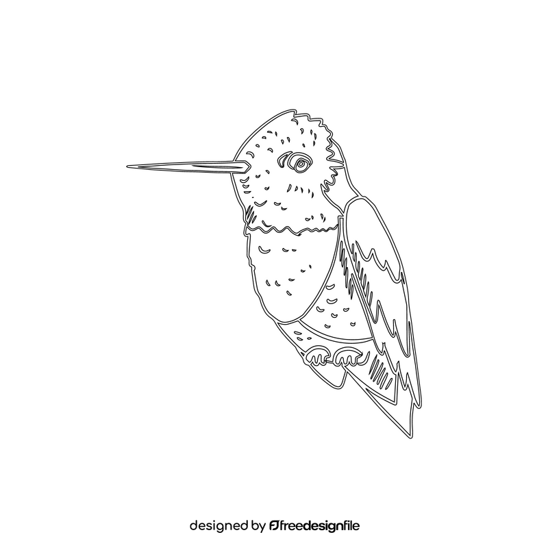 Hummingbird black and white clipart