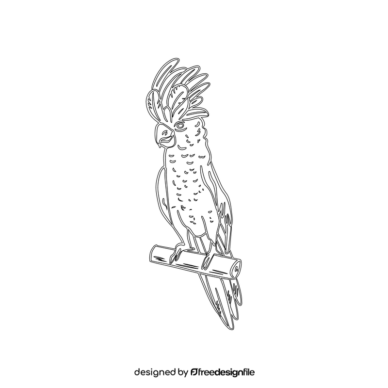 Parrot black and white clipart