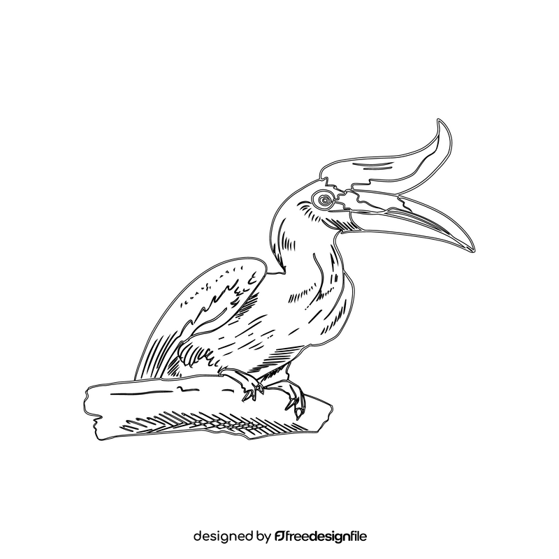 Rhinoceros hornbill bird black and white clipart