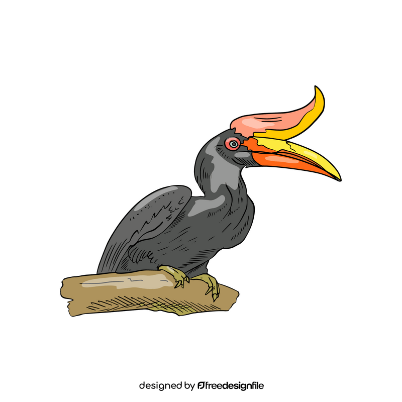 Rhinoceros hornbill bird clipart