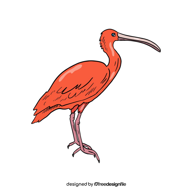 Heron bird clipart