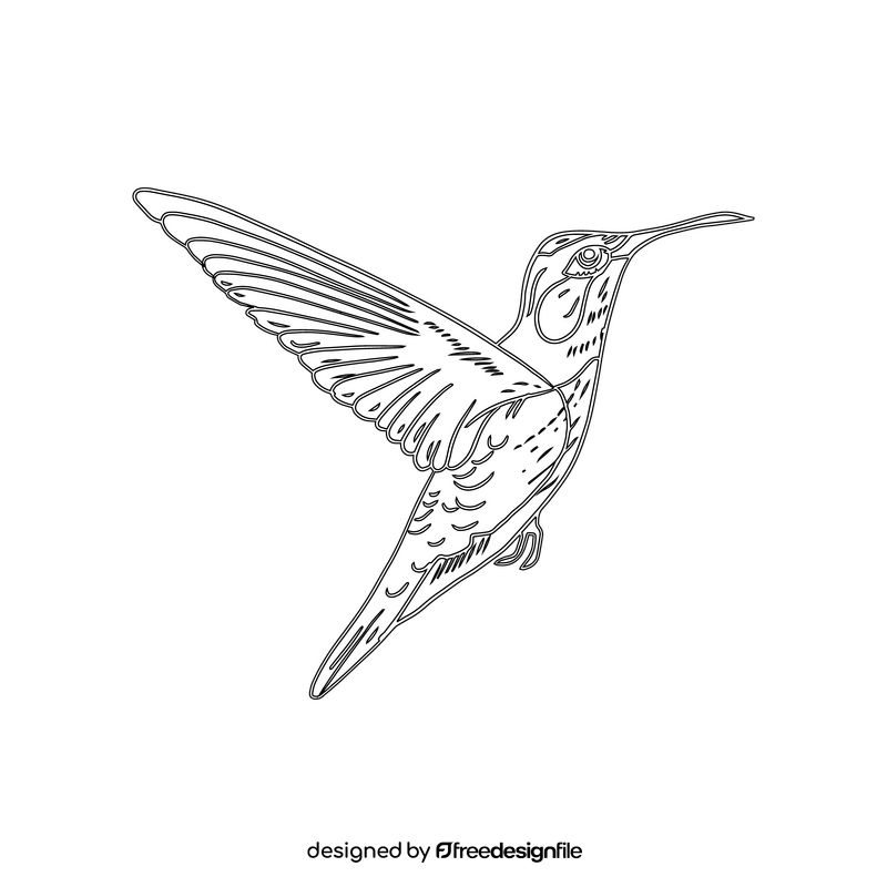 Hummingbird black and white clipart