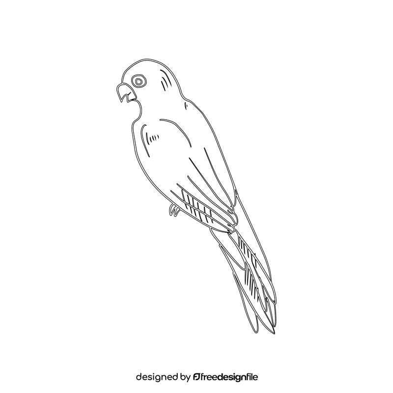 Orange parrot black and white clipart