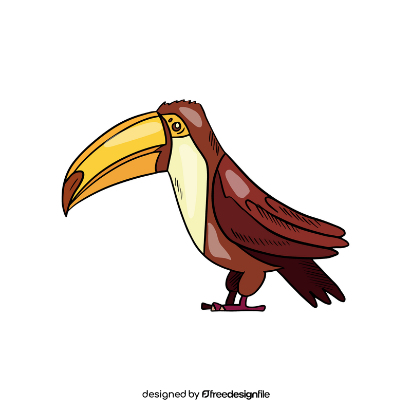 Toucan bird clipart