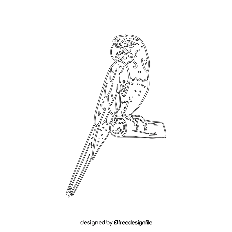 Parrot black and white clipart