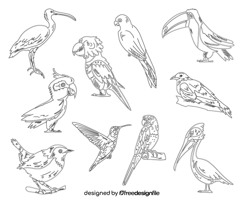 Birds black and white vector