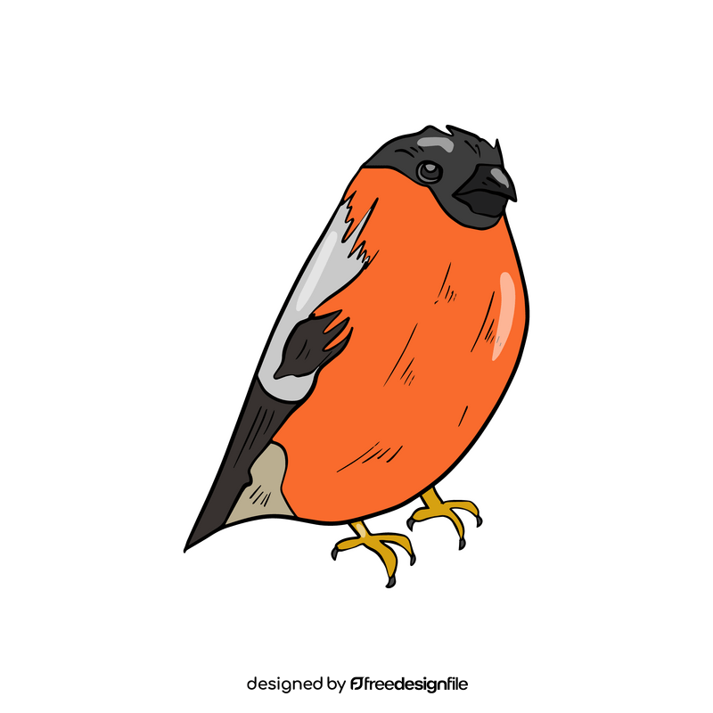 Bullfinch bird clipart