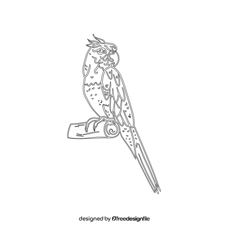 Parrot black and white clipart