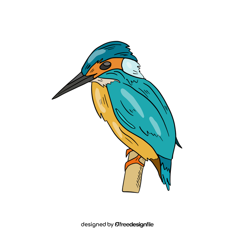 Kingfisher bird clipart