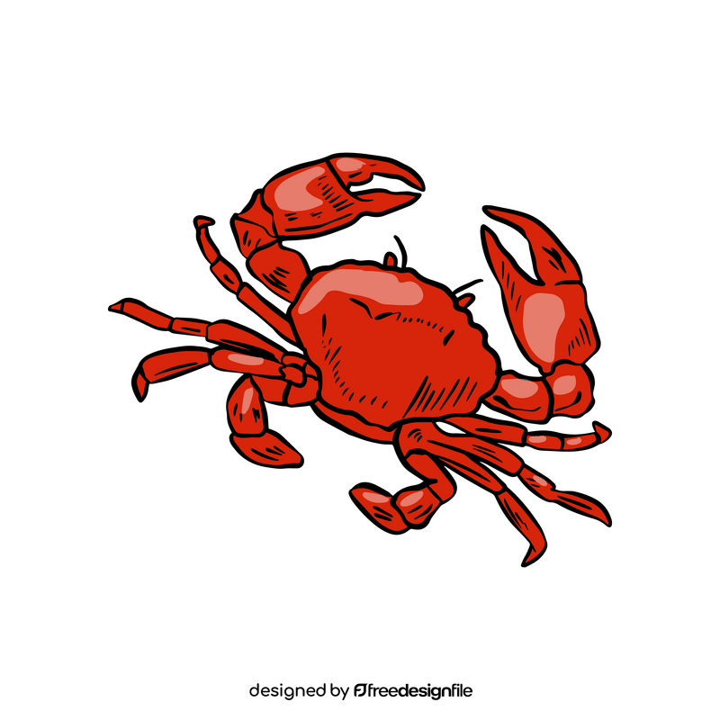 Sea crab drawing clipart