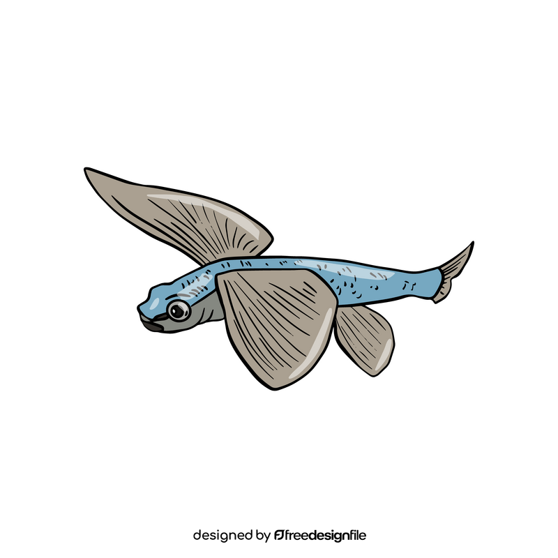 Flying fish clipart