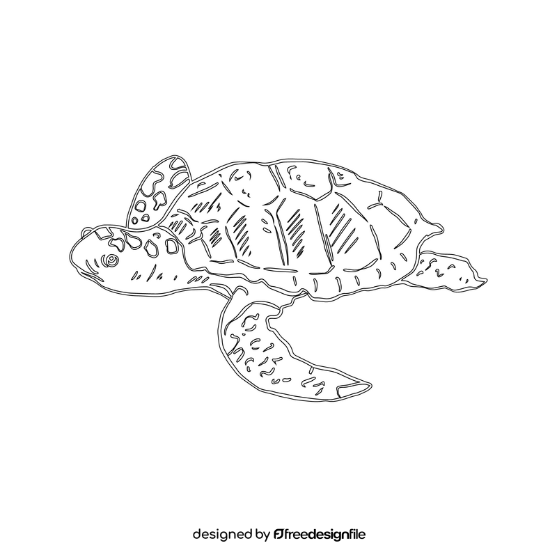 Sea turtle black and white clipart