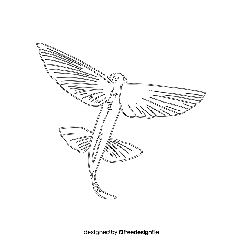 Flying fish black and white clipart