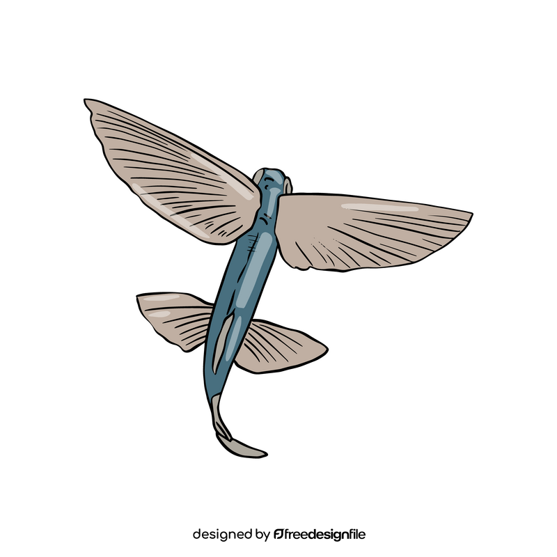 Flying fish clipart