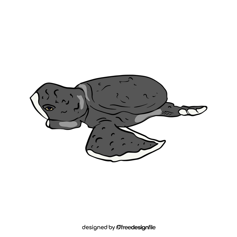 Sea turtle drawing clipart