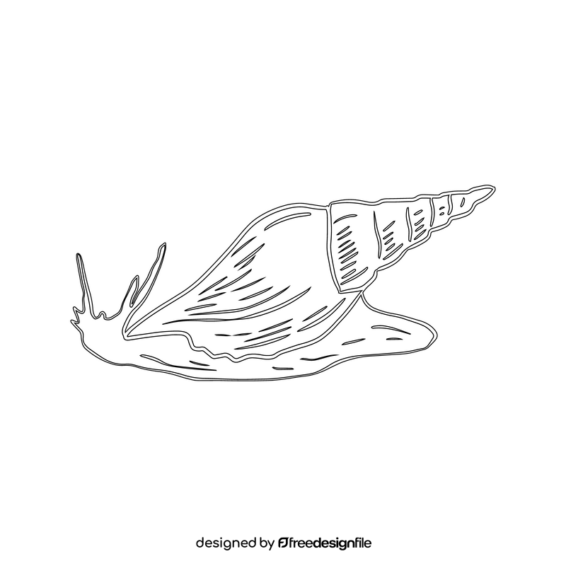 Snail, gastropod black and white clipart