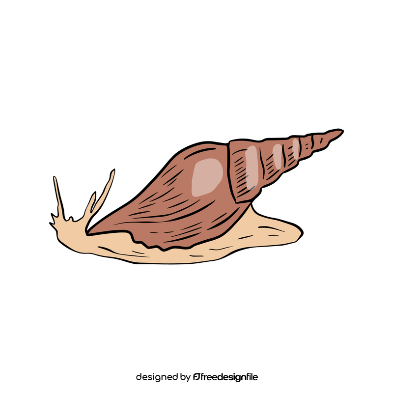 Snail, gastropod clipart