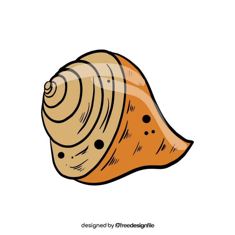 See shell cartoon clipart