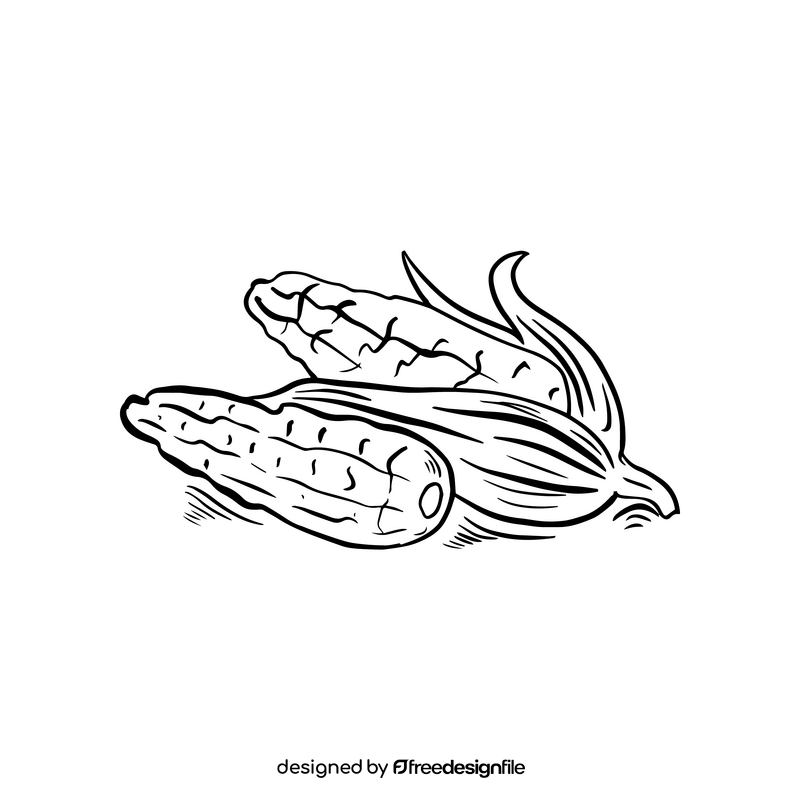 Corn black and white clipart