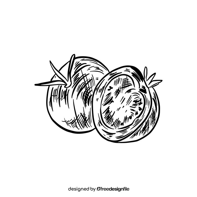 Tomato illustration black and white clipart