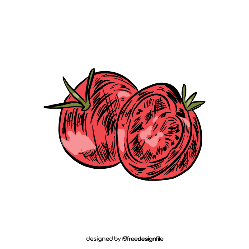 Tomato illustration clipart