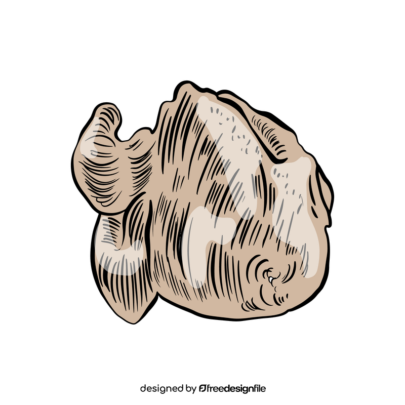 Whole chicken drawing clipart