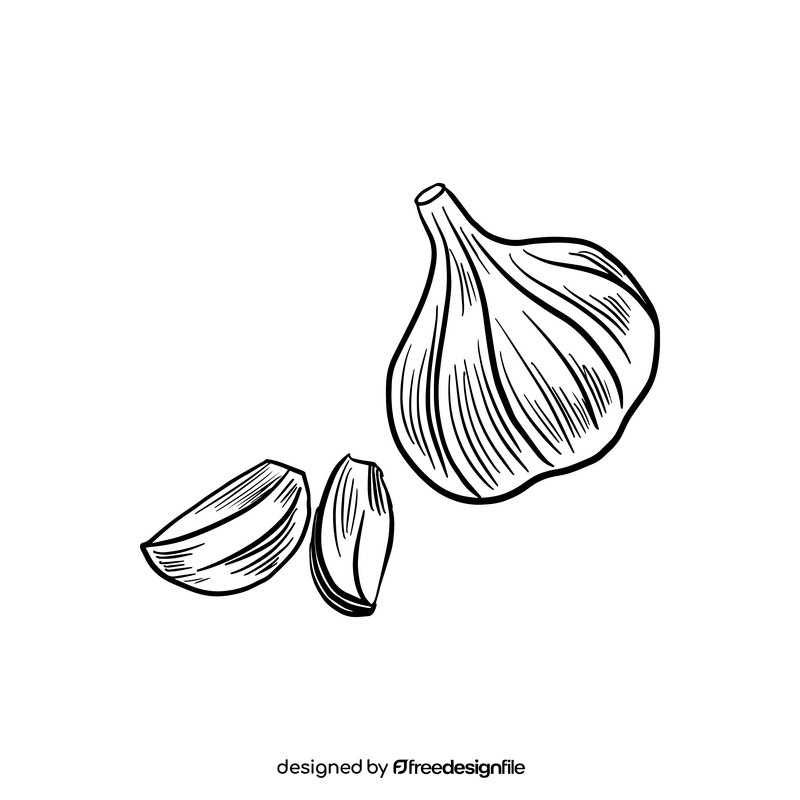 Garlic black and white clipart