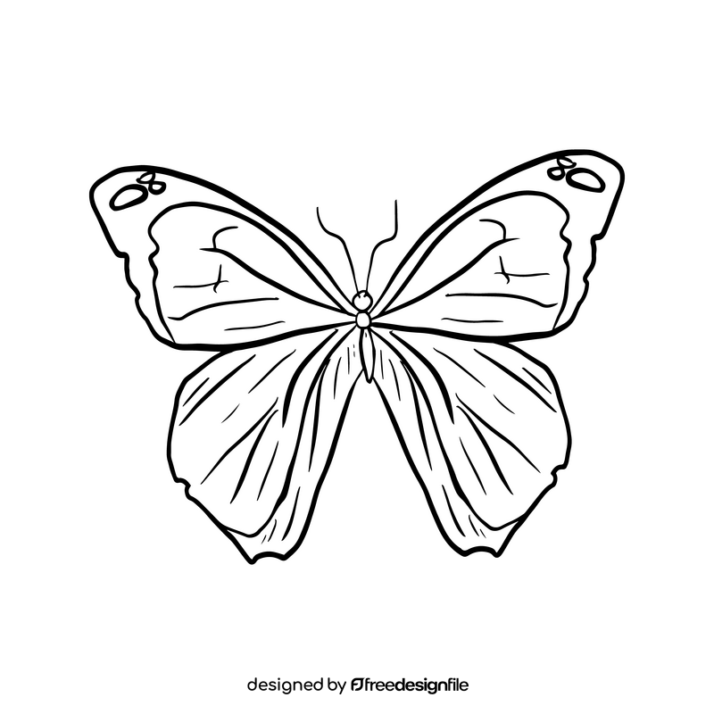 Butterfly black and white clipart