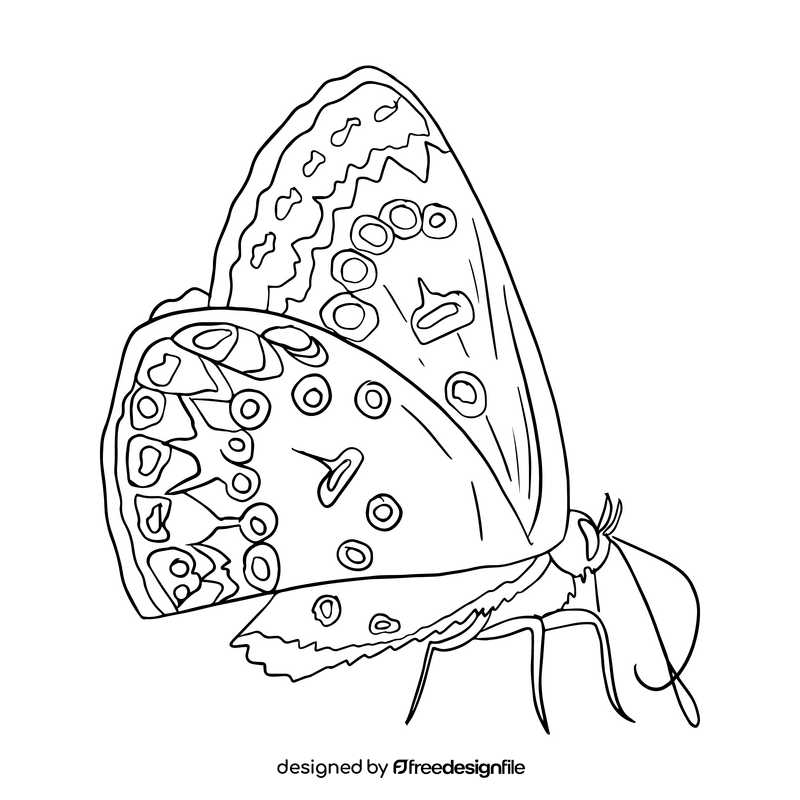 Butterfly black and white clipart