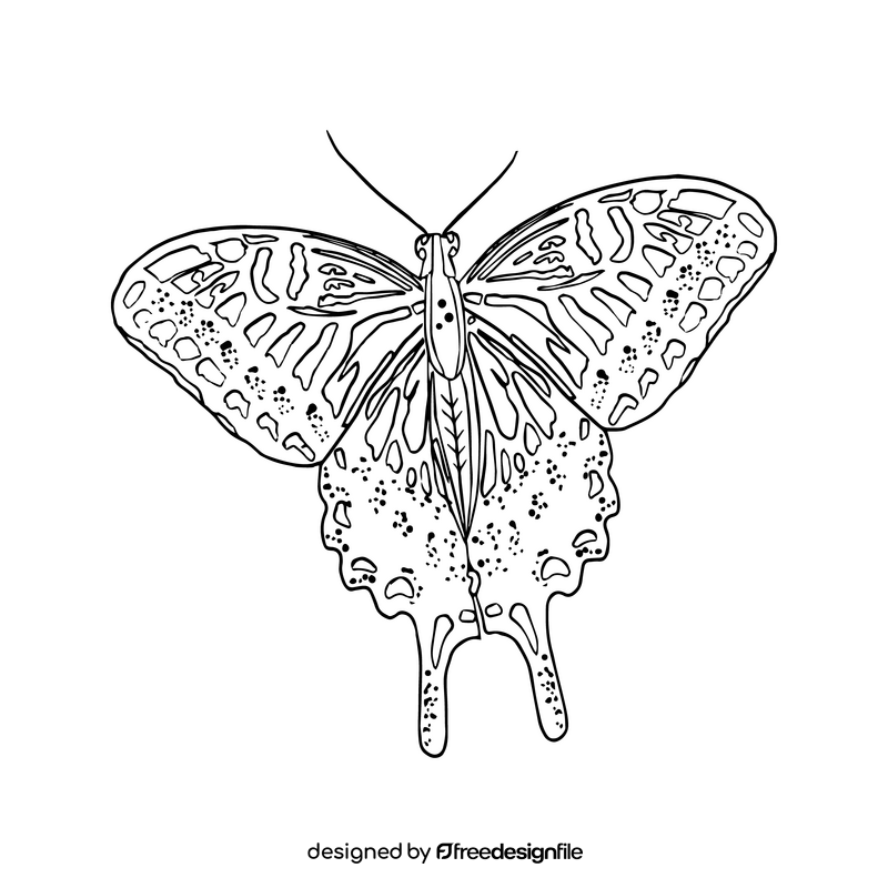 Butterfly black and white clipart