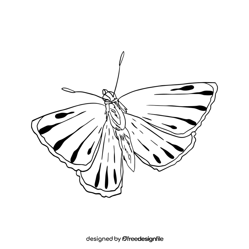 Yellow butterfly black and white clipart