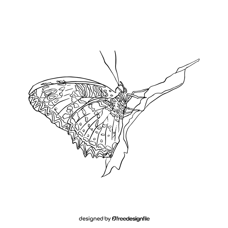 Butterfly black and white clipart