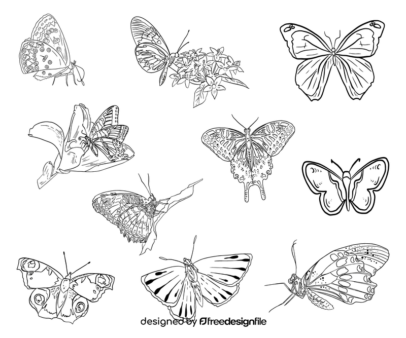 Butterflies black and white vector