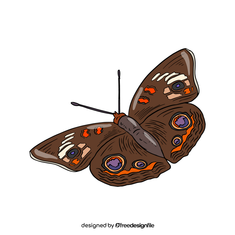 Brown butterfly drawing clipart