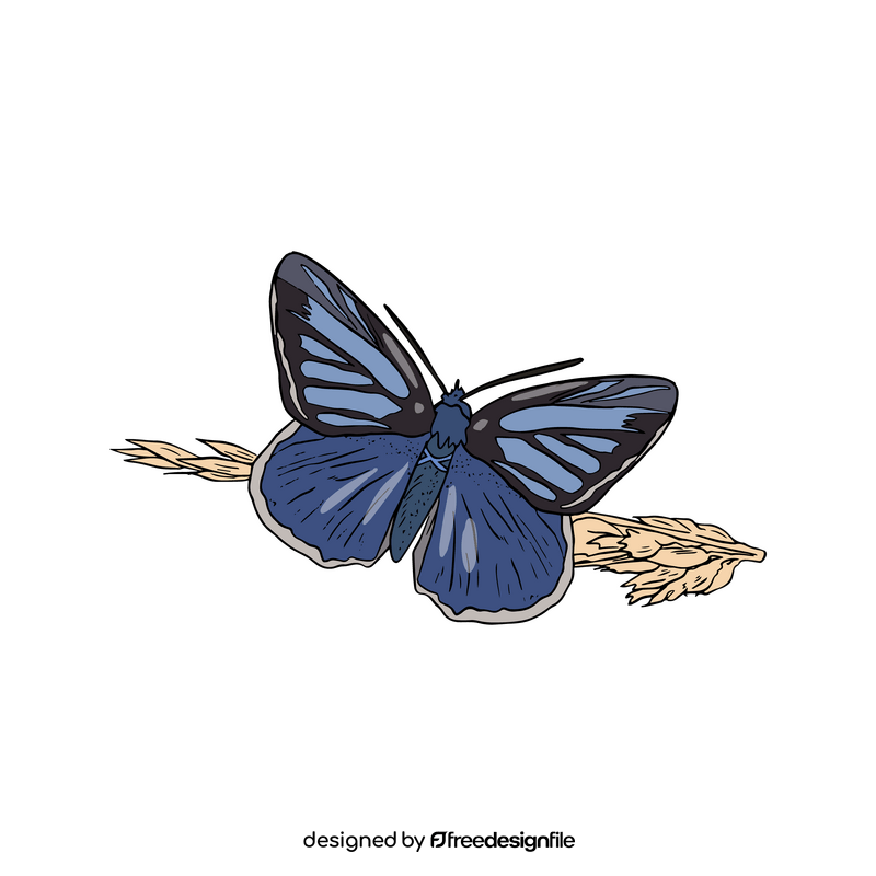 Blue butterfly cartoon clipart