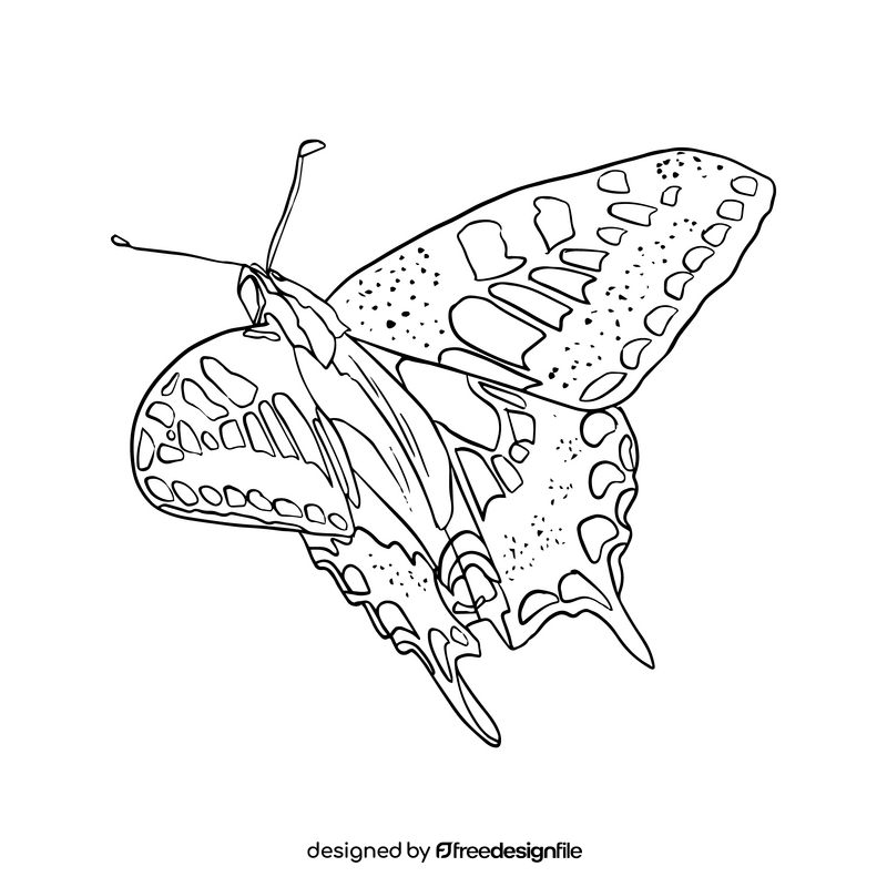 Butterfly illustration black and white clipart