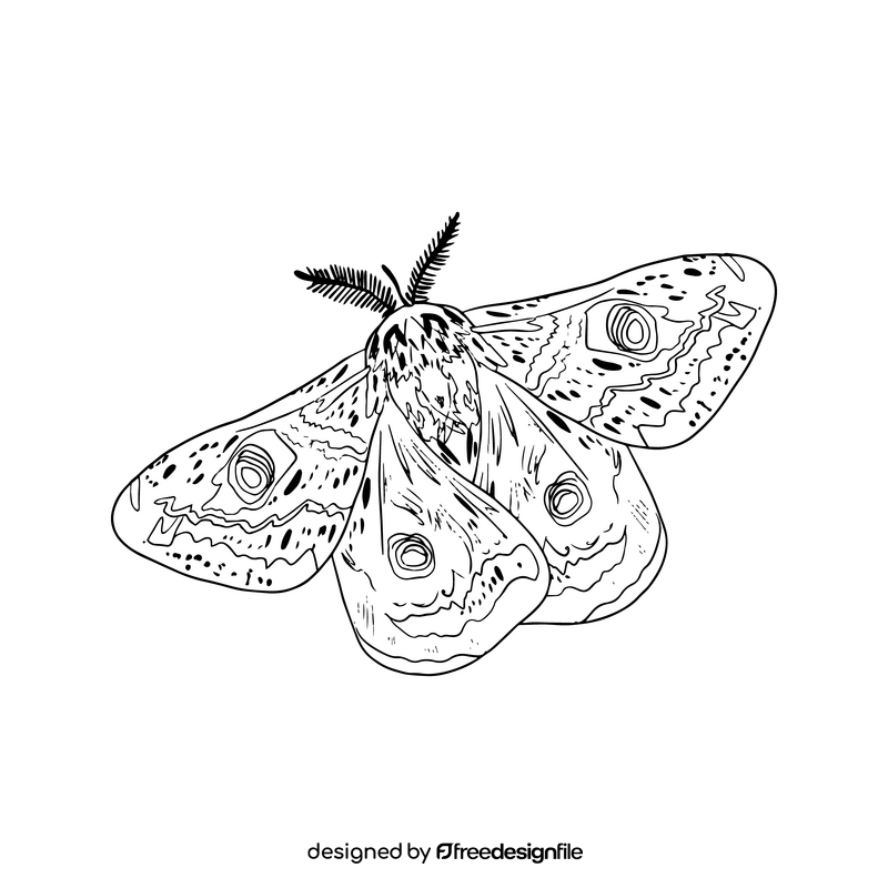 Butterfly illustration black and white clipart