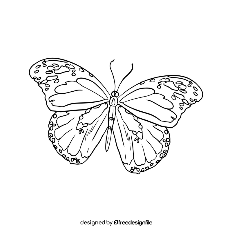 Butterfly illustration black and white clipart