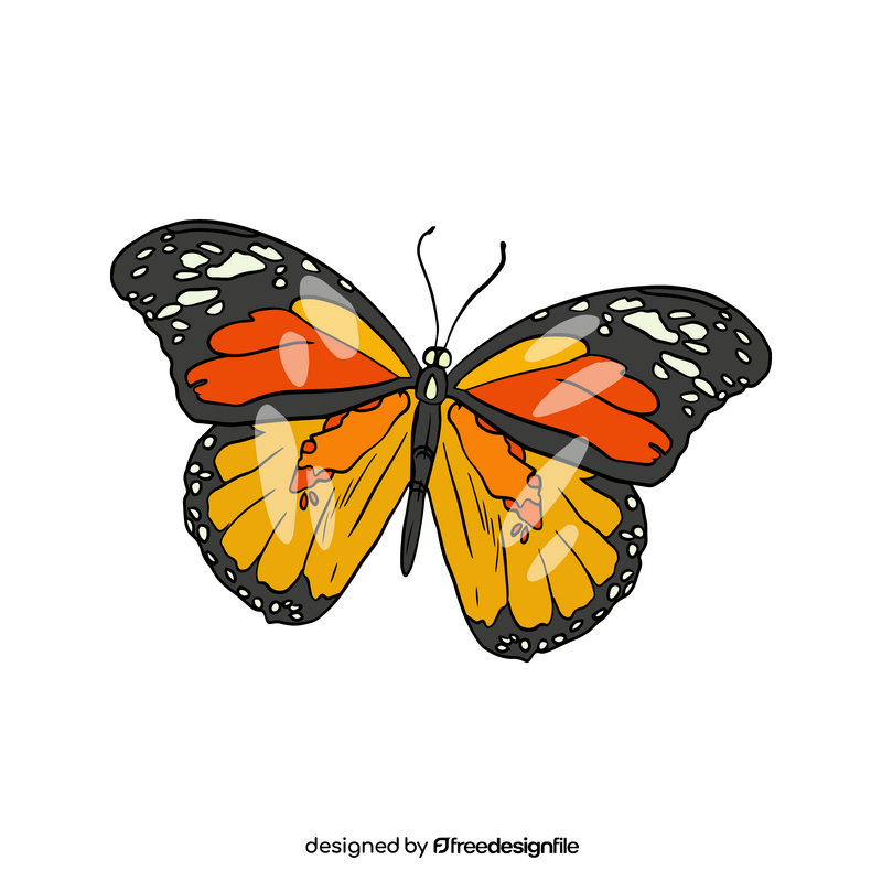 Butterfly illustration clipart