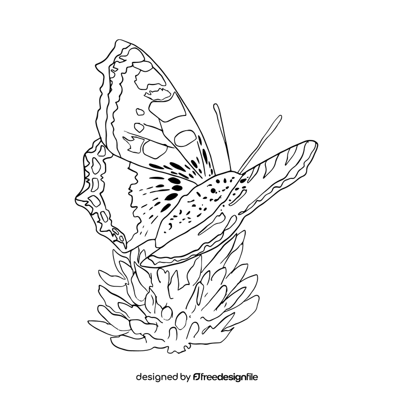 Free butterfly black and white clipart