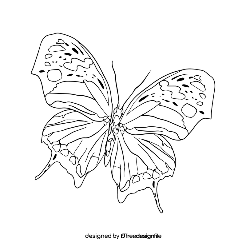 Butterfly illustration black and white clipart